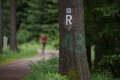 nw_150620_1322-2 nw_150620_1322-2
