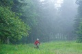 025-W2P03112-03771490-w2photo