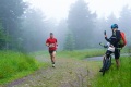 027-W2P03156-03771490-w2photo