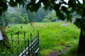 029-W2P03175-03771490-w2photo