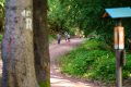 25. Rennsteig-Staffellauf