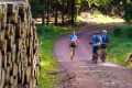 25. Rennsteig-Staffellauf