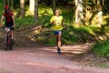 25. Rennsteig-Staffellauf