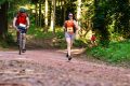 25. Rennsteig-Staffellauf