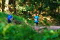 25. Rennsteig-Staffellauf 25. Rennsteig-Staffellauf