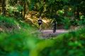 25. Rennsteig-Staffellauf 25. Rennsteig-Staffellauf