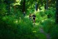 25. Rennsteig-Staffellauf 25. Rennsteig-Staffellauf