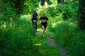 25. Rennsteig-Staffellauf 25. Rennsteig-Staffellauf