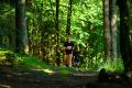 25. Rennsteig-Staffellauf 25. Rennsteig-Staffellauf