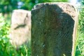 25. Rennsteig-Staffellauf 25. Rennsteig-Staffellauf