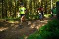 25. Rennsteig-Staffellauf