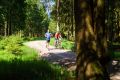 25. Rennsteig-Staffellauf