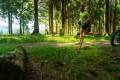 25. Rennsteig-Staffellauf
