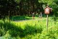 25. Rennsteig-Staffellauf