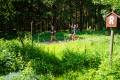 25. Rennsteig-Staffellauf