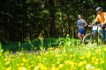 25. Rennsteig-Staffellauf