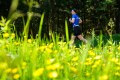 25. Rennsteig-Staffellauf