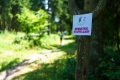 25. Rennsteig-Staffellauf