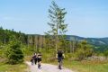 25. Rennsteig-Staffellauf