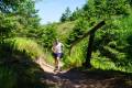25. Rennsteig-Staffellauf
