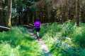 25. Rennsteig-Staffellauf