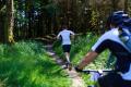 25. Rennsteig-Staffellauf