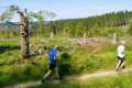 25. Rennsteig-Staffellauf