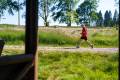 25. Rennsteig-Staffellauf 25. Rennsteig-Staffellauf