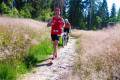 25. Rennsteig-Staffellauf 25. Rennsteig-Staffellauf