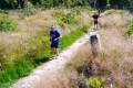 25. Rennsteig-Staffellauf 25. Rennsteig-Staffellauf