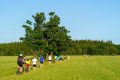 25. Rennsteig-Staffellauf
