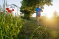 25. Rennsteig-Staffellauf