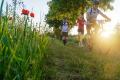 25. Rennsteig-Staffellauf