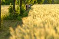 25. Rennsteig-Staffellauf
