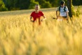 25. Rennsteig-Staffellauf